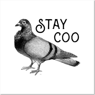 Stay Coo Pigeons Pigeon Breeder Posters and Art